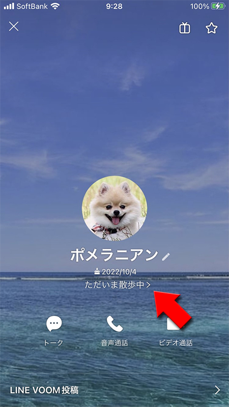 LINE ステータスメッセージのフォント反映箇所 相手の画面 iphone版
