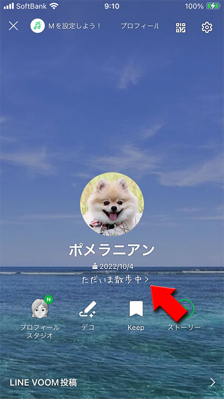 LINE ステータスメッセージのフォント反映箇所　自分の画面 iphone版