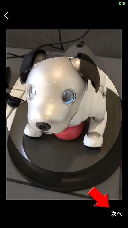 LINE 動画の次へを選択 iphone版