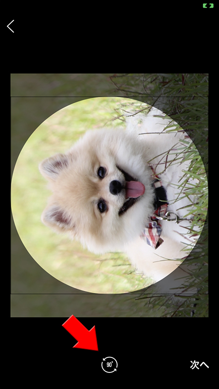 LINE アイコン角度調整中画像 iphone版