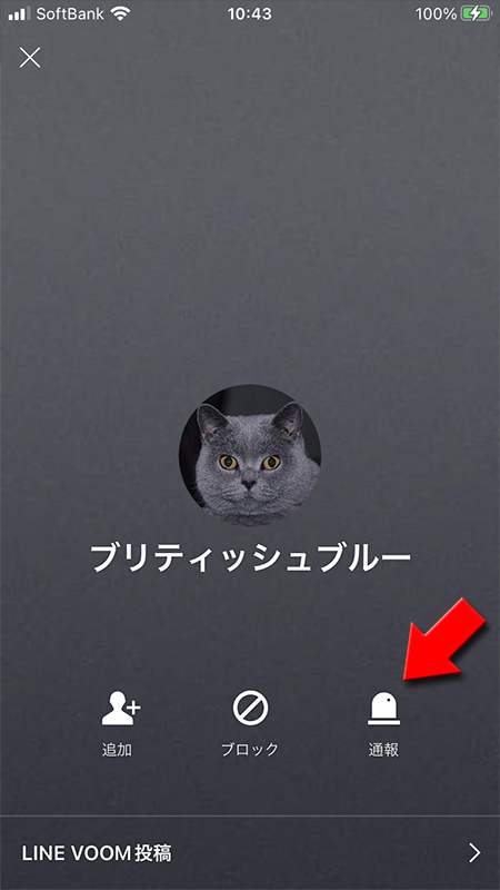 LINE プロフィールから通報を選択 iphone版