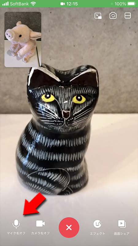 LINE ビデオカメラのマイクをオフにする iphone版
