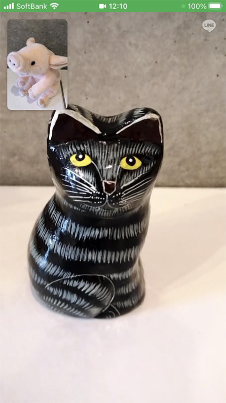 LINE ビデオ通話画面 iphone版