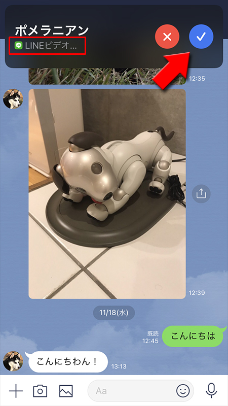 LINE iphone操作中ビデオ通話着信画面 iphone版