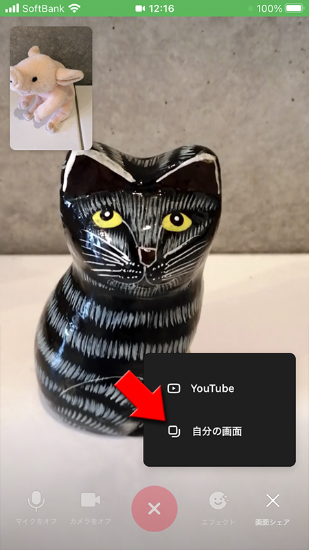 LINE ビデオ通話画面の自分の画面を選択 iphone版