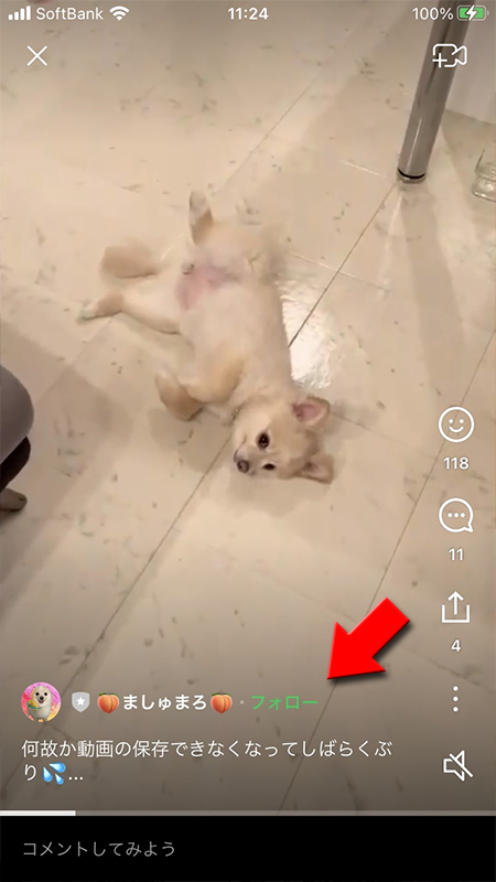 LINE VOOMの動画からフォローを押す iphone版