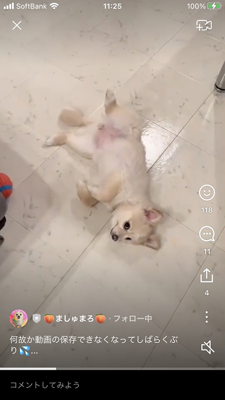 LINE VOOMの動画からフォロー完了 iphone版