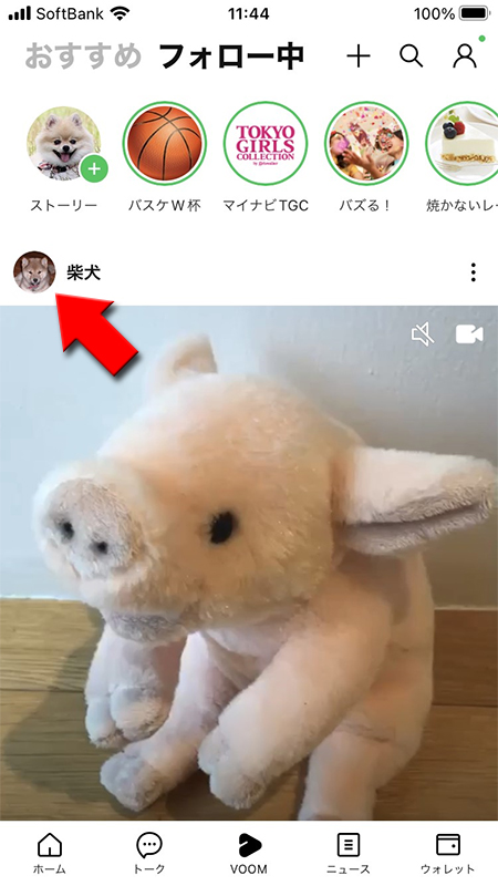 LINE VOOMでブロックしたい相手のホームに移動する iphone版