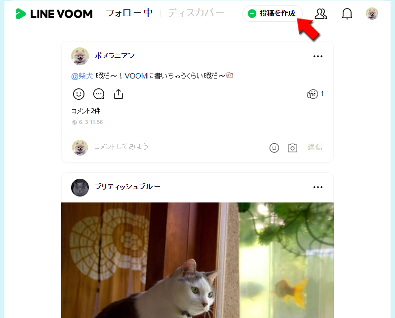 LINE VOOMのフォロー中から投稿を作成<を選択 Web版