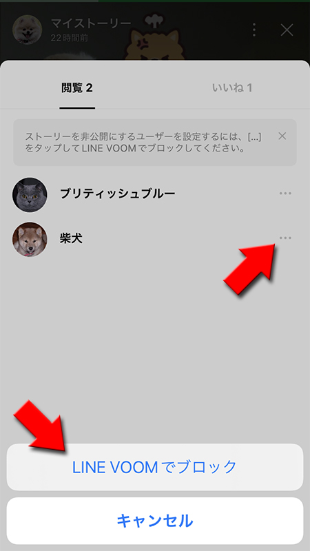 LINE ストーリーの閲覧履歴からブロックする iphone版