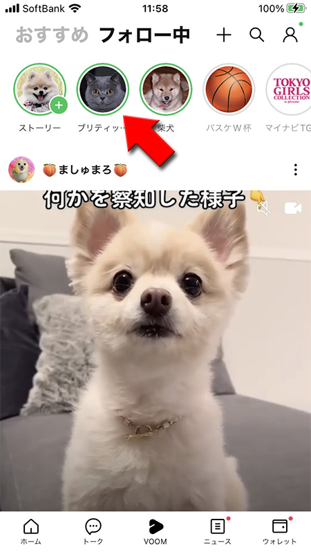 LINE VOOMからストーリーを選択 iphone版