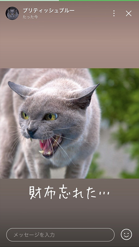 LINE ストーリーを閲覧 iphone版