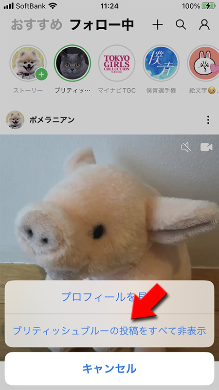 LINE 〇〇の投稿をすべて非表示を選択 iphone版