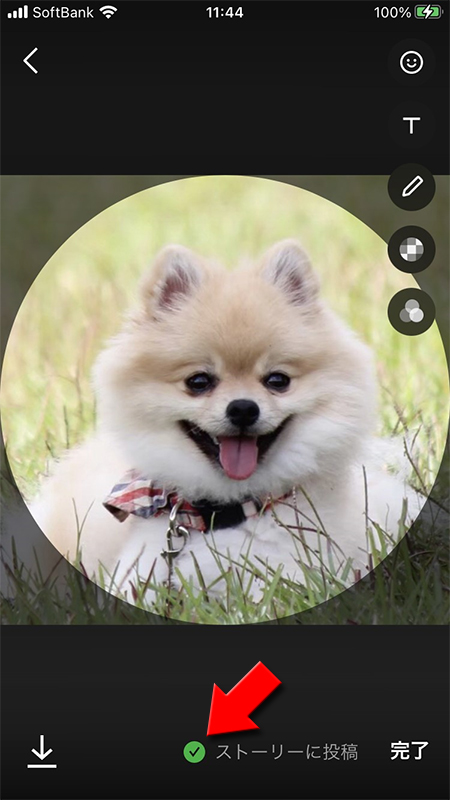 LINE ストーリーへの投稿をチェック iphone版