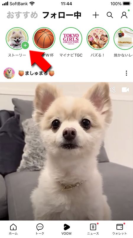 LINE 自分のストーリーを選択 iphone版